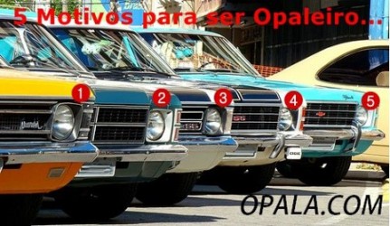Loja de casadoopalaoriginal